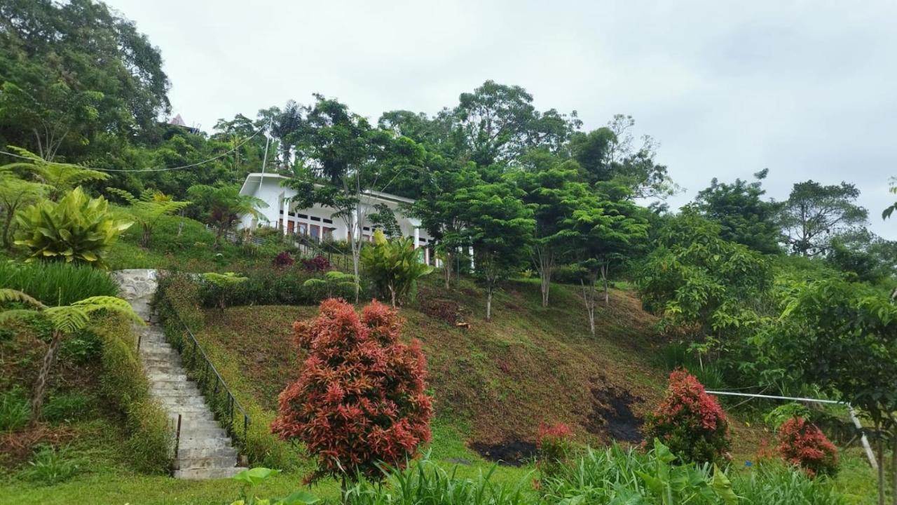 Filomena Lodge Ende Luaran gambar